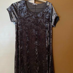 Z supply velvet day dress